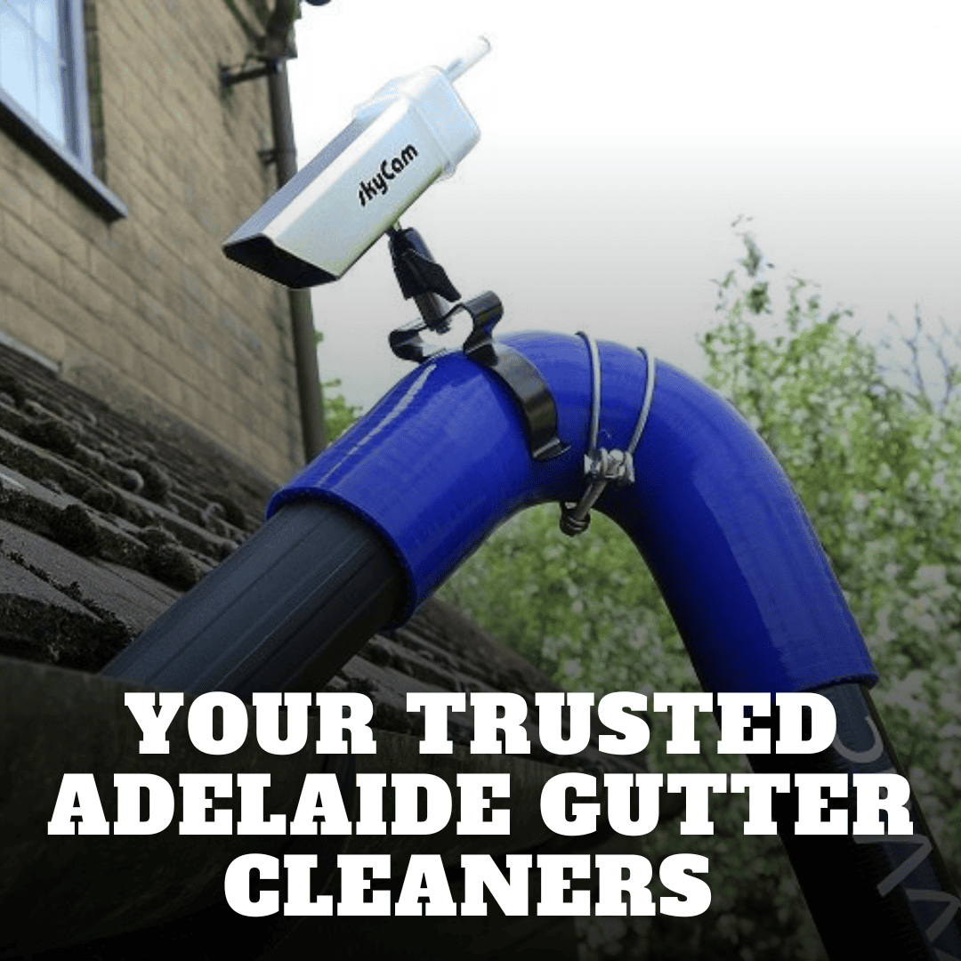 You are currently viewing Your Trusted Adelaide Gutter Cleaners