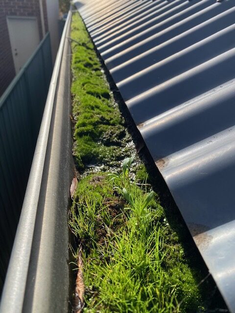 Reynella Gutter Cleaners