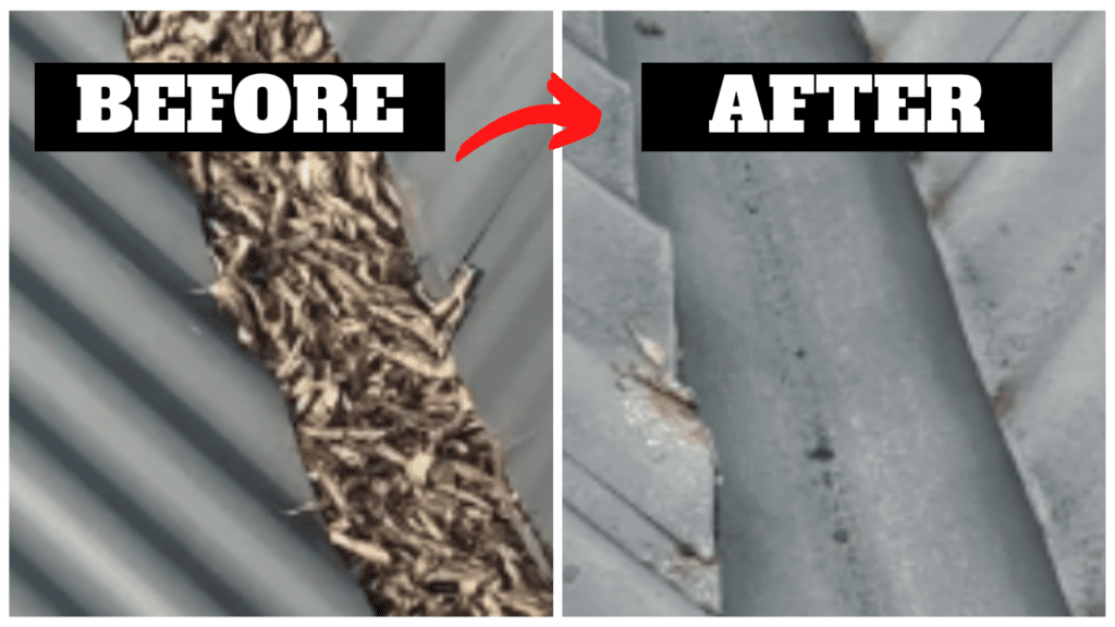 gutter cleaning adelaide